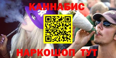 индика Ливны