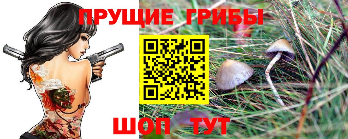 Псилоцибиновые грибы Cubensis  Вход с VPN  Псилоцибиновые грибы мухоморы  Среднеуральск 